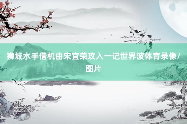 狮城水手借机由宋宜荣攻入一记世界波体育录像/图片