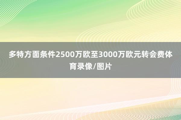 多特方面条件2500万欧至3000万欧元转会费体育录像/图片