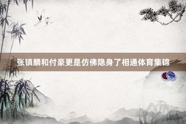 张镇麟和付豪更是仿佛隐身了相通体育集锦