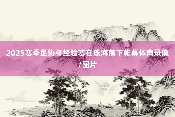2025赛季足协杯经验赛在珠海落下帷幕体育录像/图片