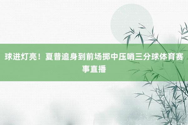 球进灯亮！夏普追身到前场掷中压哨三分球体育赛事直播