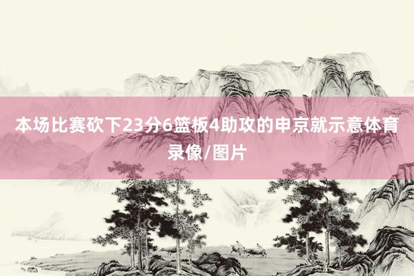 本场比赛砍下23分6篮板4助攻的申京就示意体育录像/图片