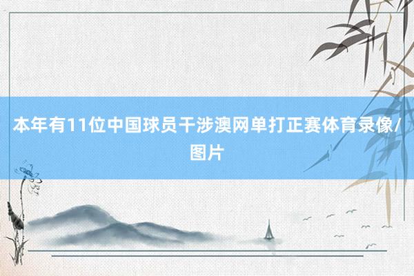 本年有11位中国球员干涉澳网单打正赛体育录像/图片