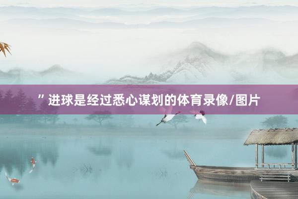 ”　　进球是经过悉心谋划的体育录像/图片