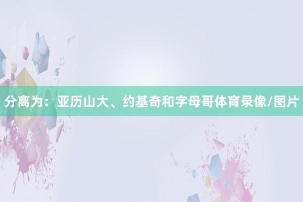 分离为：亚历山大、约基奇和字母哥体育录像/图片
