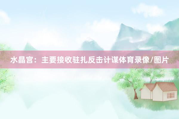 水晶宫：主要接收驻扎反击计谋体育录像/图片