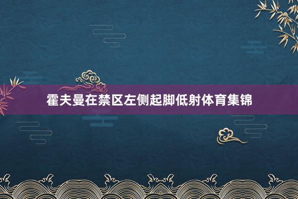 霍夫曼在禁区左侧起脚低射体育集锦