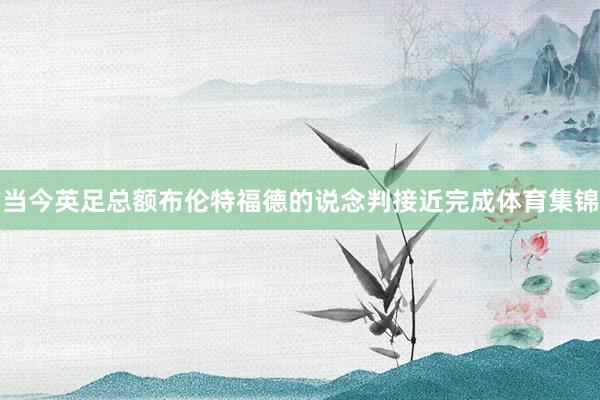当今英足总额布伦特福德的说念判接近完成体育集锦