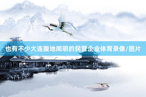 也有不少大连腹地闻明的民营企业体育录像/图片
