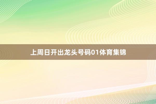 上周日开出龙头号码01体育集锦