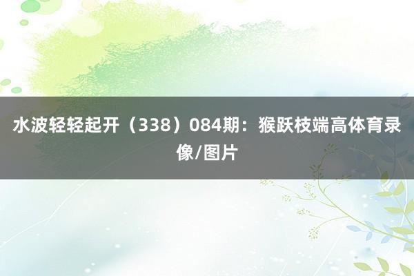 水波轻轻起开（338）　　084期：猴跃枝端高体育录像/图片