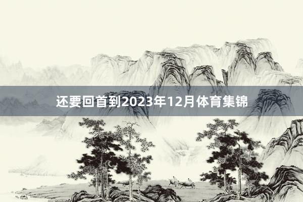 还要回首到2023年12月体育集锦