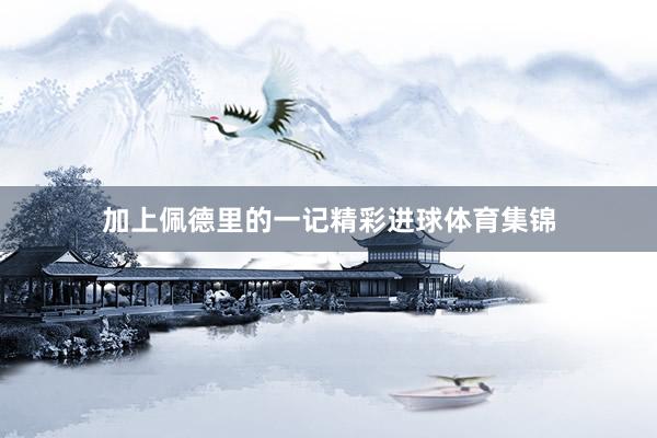 加上佩德里的一记精彩进球体育集锦