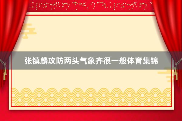 张镇麟攻防两头气象齐很一般体育集锦