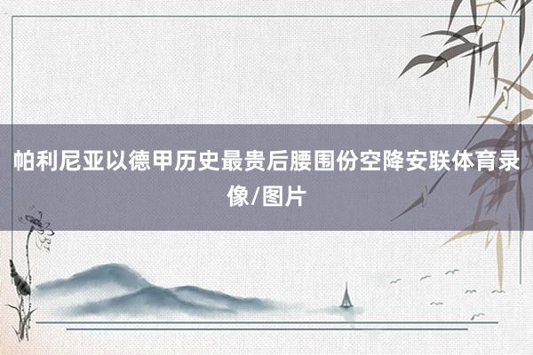 帕利尼亚以德甲历史最贵后腰围份空降安联体育录像/图片