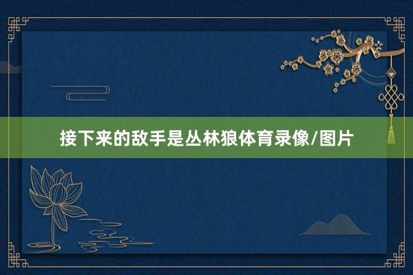 接下来的敌手是丛林狼体育录像/图片
