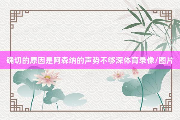 确切的原因是阿森纳的声势不够深体育录像/图片