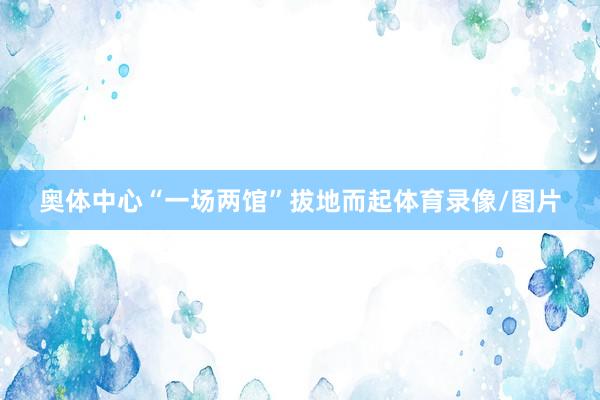 奥体中心“一场两馆”拔地而起体育录像/图片
