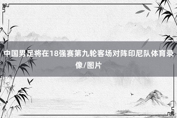 中国男足将在18强赛第九轮客场对阵印尼队体育录像/图片