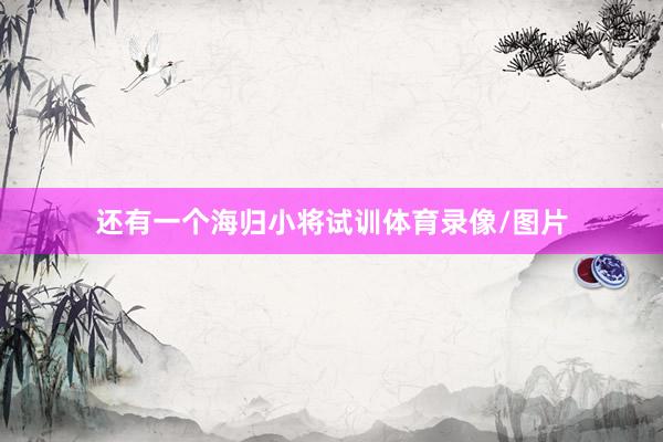 还有一个海归小将试训体育录像/图片