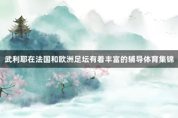 武利耶在法国和欧洲足坛有着丰富的辅导体育集锦