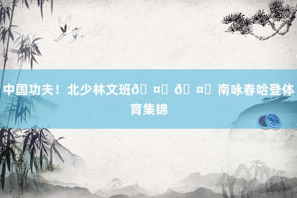 中国功夫！北少林文班🤜🤛南咏春哈登体育集锦