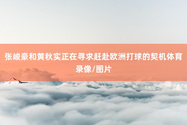 张峻豪和黄秋实正在寻求赶赴欧洲打球的契机体育录像/图片