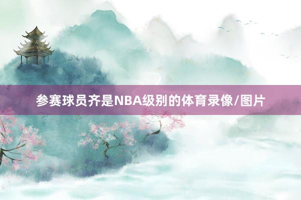 参赛球员齐是NBA级别的体育录像/图片