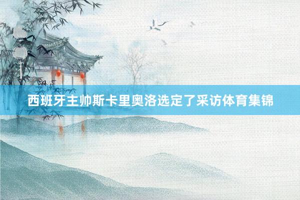 西班牙主帅斯卡里奥洛选定了采访体育集锦