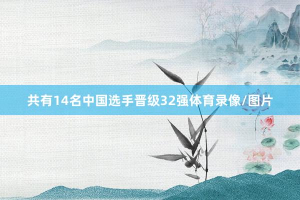 共有14名中国选手晋级32强体育录像/图片