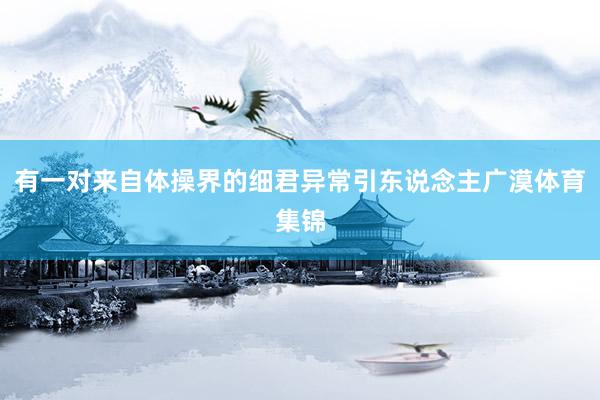 有一对来自体操界的细君异常引东说念主广漠体育集锦
