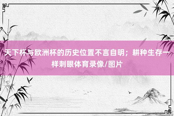 天下杯与欧洲杯的历史位置不言自明；耕种生存一样刺眼体育录像/图片