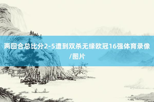 两回合总比分2-5遭到双杀无缘欧冠16强体育录像/图片