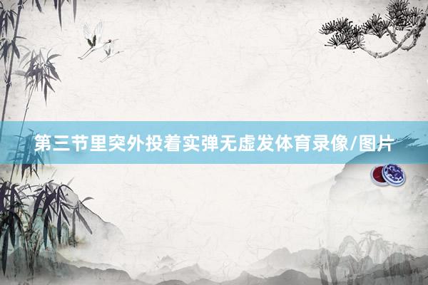 第三节里突外投着实弹无虚发体育录像/图片