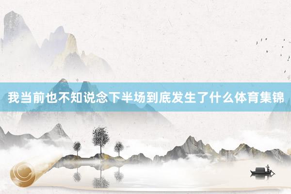 我当前也不知说念下半场到底发生了什么体育集锦