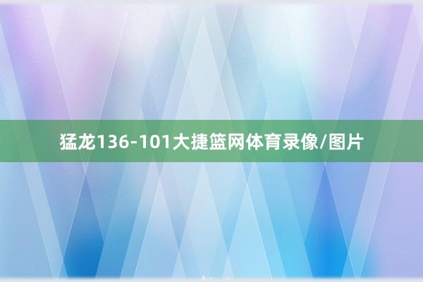 猛龙136-101大捷篮网体育录像/图片