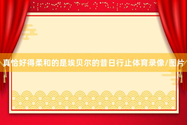 真恰好得柔和的是埃贝尔的昔日行止体育录像/图片