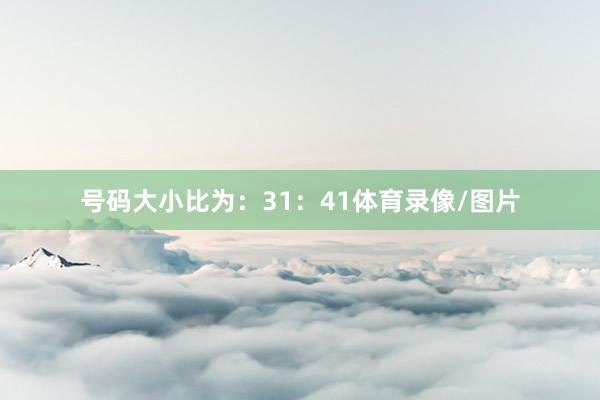 号码大小比为：31：41体育录像/图片