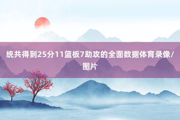 统共得到25分11篮板7助攻的全面数据体育录像/图片