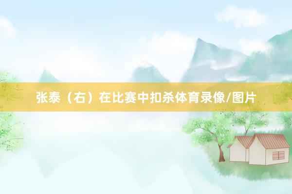 张泰（右）在比赛中扣杀体育录像/图片