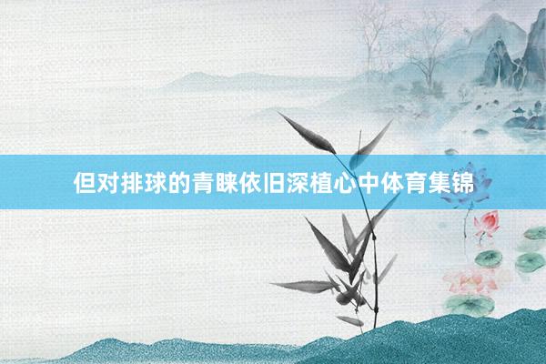 但对排球的青睐依旧深植心中体育集锦