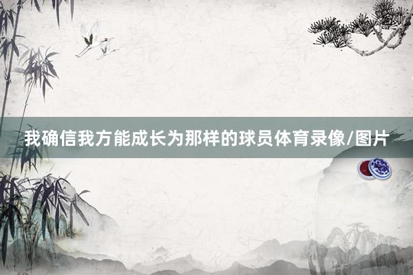 我确信我方能成长为那样的球员体育录像/图片