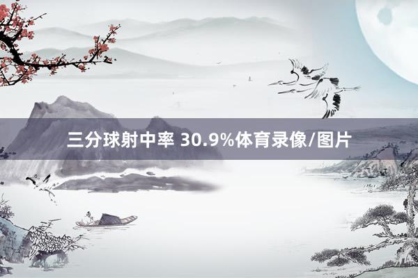 三分球射中率 30.9%体育录像/图片