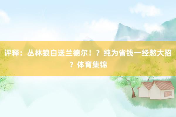 评释：丛林狼白送兰德尔！？纯为省钱一经憋大招？体育集锦