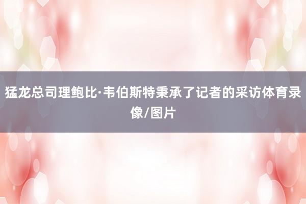 猛龙总司理鲍比·韦伯斯特秉承了记者的采访体育录像/图片